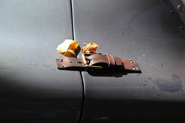 Liebliches Detail - Haubenverschlüsse und Herbstlauf auf einer Jaguar C-Type Replica - Swiss Classic British Car Meeting Morges 2017