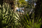 Image: Ligier JS11-15 (1979) - Grand Prix Historique de Monaco 2024