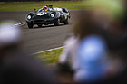 Bild: Lister-Jaguar "Costin" (1959) - Chris Ward siegt im Rennen um die Sussex Trophy - Goodwood Revival 2016