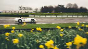 Lister-Jaguar Knobbly (1958) - Scott Brown Trophy - Goodwood Members' Meeting 2017