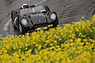 Lister-Jaguar Knobbly (1959) - GP Mutschellen 2016 (© Daniel Reinhard, 2016) Lister-Jaguar Knobbly (1959) - GP Mutschellen 2016 (© Daniel Reinhard, 2016)