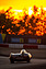 Lotus Eleven (1956) – AvD Oldtimer-Grand-Prix 2022 (© Daniel Reinhard, 2022) Lotus Eleven (1956) – AvD Oldtimer-Grand-Prix 2022 (© Daniel Reinhard, 2022)