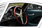 Image: Lotus Elite S1 (1959) - at the "Fantastic Plastic" meeting 2013