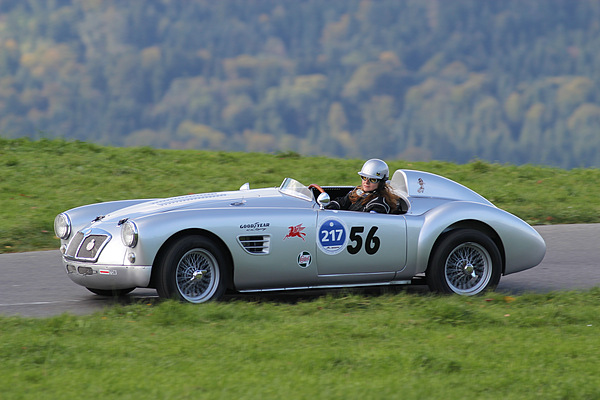 MG A Special (1961) am Michaelskreuzrennen 2011 (Startnummer 217)