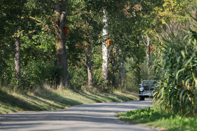 MG Midget (1964) - schon an Details erkennbar