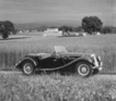 MG Midget Series TF (1954) - im Profil mit geöffnetem Dach und ohne Seitenscheiben