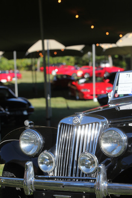 MG Midget TF 1500 Roadster (1955) - als Lot 071 an der Bonhams Bonmont Versteigerung vom 29. September 2019 (1955)