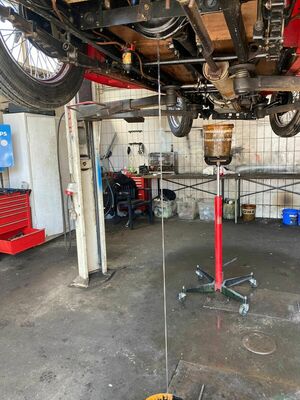 MG TC (1948 ) - alles muss raus