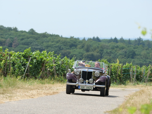 Image: MG TD from 1950 - ADAC Heidelberg Historic 2023