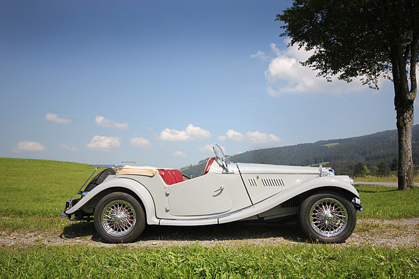 MG TF (1954) - wirkt etwas gestrecker als seine Vorgänger