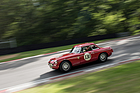 MGB MGB (1962) - Equipe Classic Racing - Brands Hatch Masters Historic Festival 2020