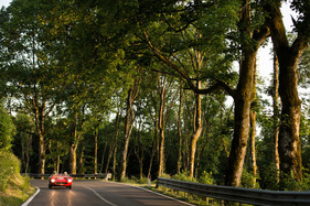 Maserati 150 S (1955) - an der Mille Miglia 2021