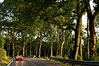 Maserati 150 S (1955) - an der Mille Miglia 2021