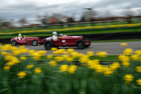 Maserati V8RI (1935) - S.F. Edge Trophy - Goodwood Members' Meeting 2017