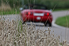 Mazda MX-5 (1991) - mit keinem anderen Auto ist man mit der Natur so verbunden wie mit einem Cabriolet