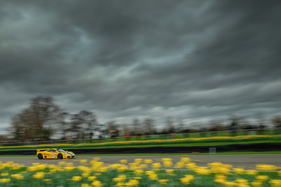 McLaren F1 GTR (Harrods) (1995) - GT1 Legenden - Goodwood Members' Meeting 2017