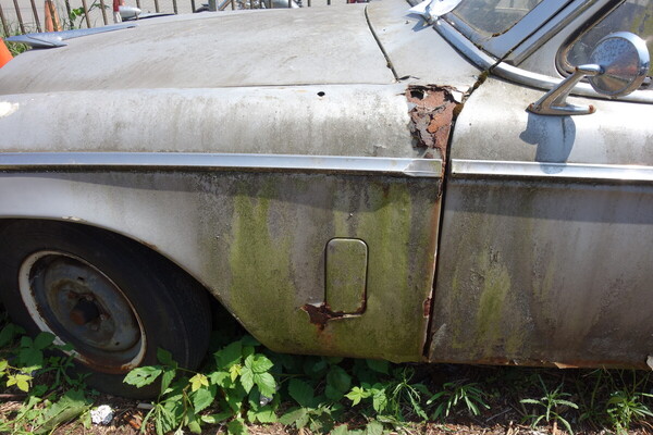 Mehr als nur Patina an diesem Studebaker Champion Regal Coupé von 1955 - Palmen Scheunenfund-Sammlung