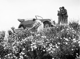 Mercedes-Benz 170 V (1939) - Cabriolet B mit 38 PS, gebaut von 1936 bis 1942