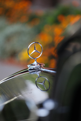 Mercedes-Benz 170 Va (1950) - Stern (Kühlerfigur) (1950)