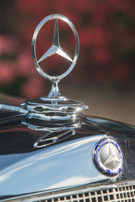 Mercedes-Benz 170 Va (1950) - der Stern auf dem Kühler