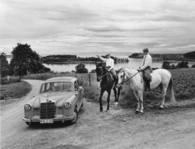 Mercedes Benz 190 (1958) - 75 Pferdestärken treffen auf zwei Rösser - im Hintergrund die Insel Mainau im Bodensee