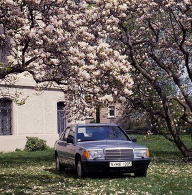 Mercedes-Benz 190 E (1984) - im Frühling