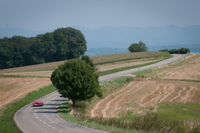 Mercedes-Benz 190 SL (1962) – RAID Suisse-Paris 2013