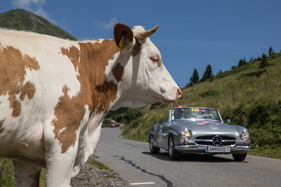 Mercedes-Benz 190 SL (1962) - mit Startnummer 115 an der Ennstal-Classic 2017