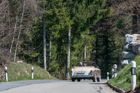 Mercedes-Benz 220 SE Cabriolet (1959) - passt sich farblich der Umgebung an