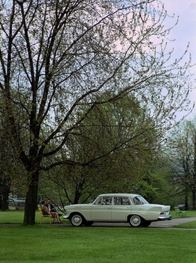 Mercedes-Benz 230 (1966) – parkieren im Park
