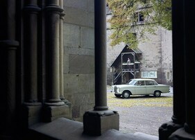 Mercedes-Benz 230 W 110 (1965) - Unter einem Baum stehend