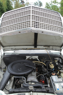 Mercedes-Benz 250 C (1969) - Blick in den Motorraum