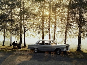 Mercedes-Benz 250 SE (1966) (1966)
