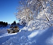 Mercedes Benz 280 E (1977) - bei winterlichen Verhältnissen