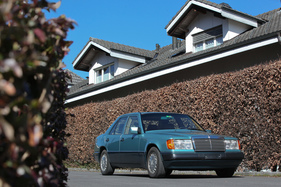 Mercedes-Benz 280 E (1993) - passte perfekt vor das Reihenfamilienhaus Mercedes-Benz 280 E (1993) - passte perfekt vor das Reihenfamilienhaus