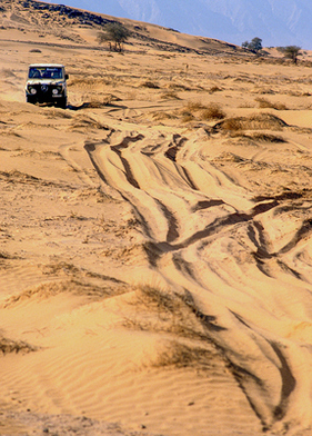 Mercedes-Benz 280 GE (1982) - Rallye Paris-Dakar 1983 Mercedes-Benz 280 GE (1982) - Rallye Paris-Dakar 1983