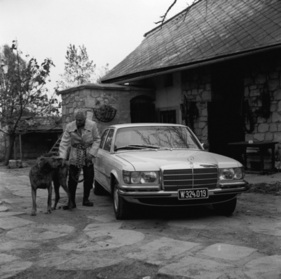 Mercedes-Benz 280 SE (1972) – mit Wiener Zulassung