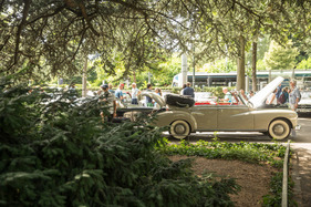 Mercedes-Benz 300 Cabriolet D (1952) – Zurich Classic Car Award 2024