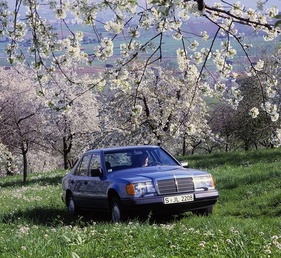 Mercedes-Benz 300 E (1984) - Frühlingsgefühle