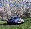 Mercedes-Benz 300 E (1984) - Frühlingsgefühle