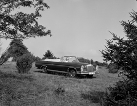 Mercedes-Benz 300 SE Cabriolet (1962) - nicht wirklich für den Geländeeinsatz gedacht