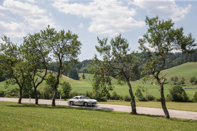 Bild Mercedes-Benz 300 SL (1954) - an der Ennstal-Classic 2019