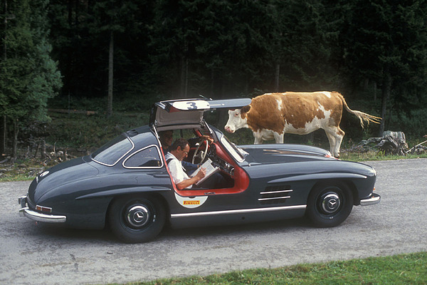 Bild Mercedes Benz 300 SL (1955) - Wendlinger und Beifahrer suchen immer noch den Weg - Erste Ennstal Classic 1993