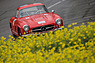Mercedes-Benz 300 SL (1956) - GP Mutschellen 2016 (© Daniel Reinhard, 2016) Mercedes-Benz 300 SL (1956) - GP Mutschellen 2016 (© Daniel Reinhard, 2016)