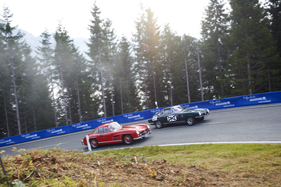 Mercedes Benz 300 SL (1956) - am Roßfeldrennen 2013