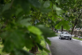 Mercedes-Benz 300 SL Coupé W 198 (1955) - an der Mille Miglia 2016