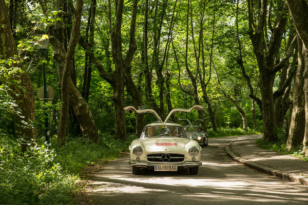 Mercedes-Benz 300 SL Flügeltürer (1956) - 33. Ennstal-Classic 2025