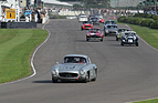 Mercedes Benz 300 SL Gullwing (1955) - im Rennen um die Fordwater Trophy am Goodwood Revival 2013