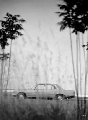 Mercedes-Benz 350 SE (1972) – lang und geduckt