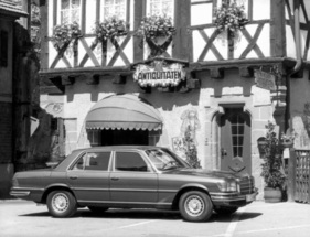 Mercedes-Benz 450 SE (1974) – in dörflicher Idylle